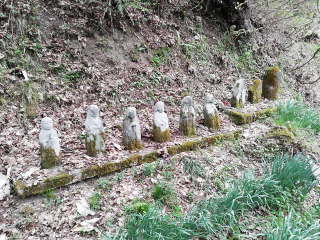 画像に含まれている可能性があるもの:木、屋外